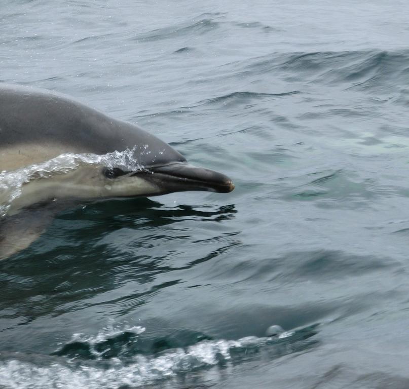 Aultbea Lodges Bagian luar foto